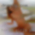 Horny girls phone numbers