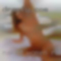Naked women Rolla