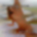 Sample erotic personal profiles