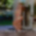 Sample erotic personal profiles