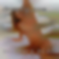 Swingers Middletown